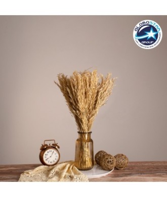 GloboStar® WILDOAT 36543 Αποξηραμένο Φυτό Αγριοβρώμη - Μπουκέτο Διακοσμητικών Κλαδιών Μπεζ Υ60cm - Σετ 100 τμχ